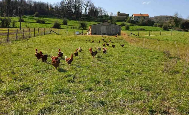 Exploitation, Vienne, La Ferme Guinet